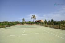 play tennis with your family, you can also do it with our coaches