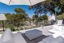 Villa Modern Serenum